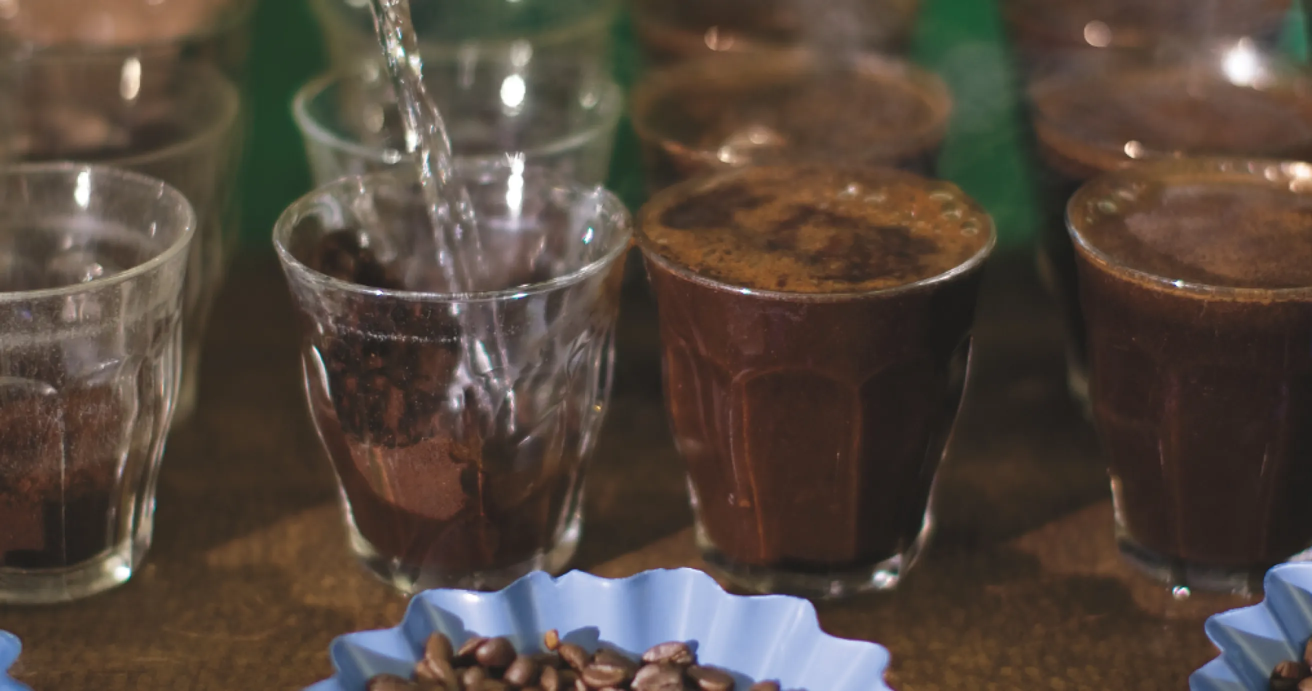 4 steps of coffee tasting, coffee cups