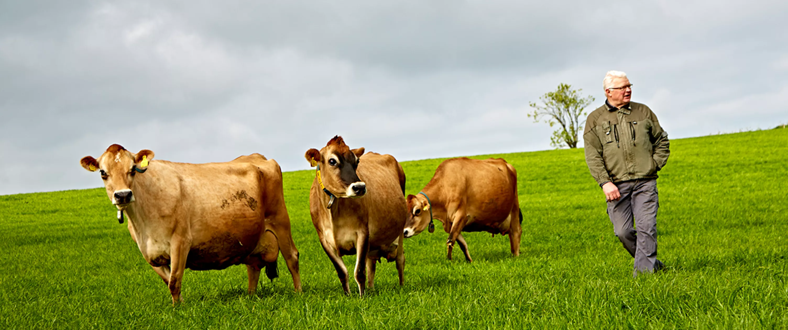 C03-Arla-Responsibility