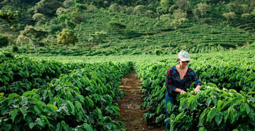 Responsibility_sustainability